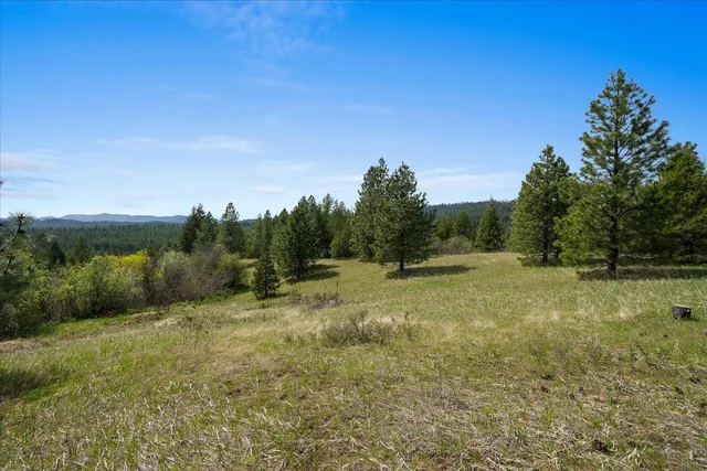 $385,000 | 44-xx Whittier Road, Clayton, WA 99110