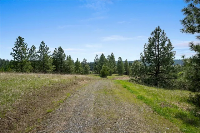 $385,000 | 44-xx Whittier Road, Clayton, WA 99110