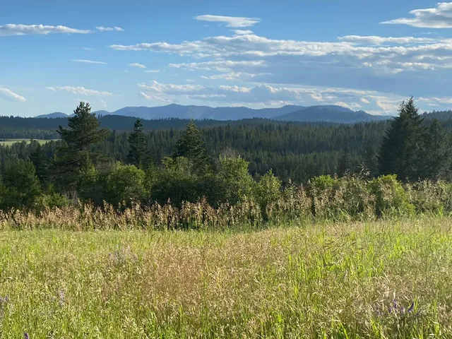 $385,000 | 44-xx Whittier Road, Clayton, WA 99110