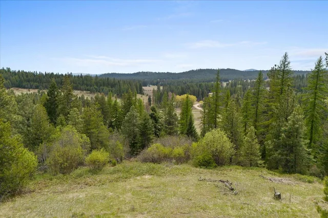 $385,000 | 44-xx Whittier Road, Clayton, WA 99110