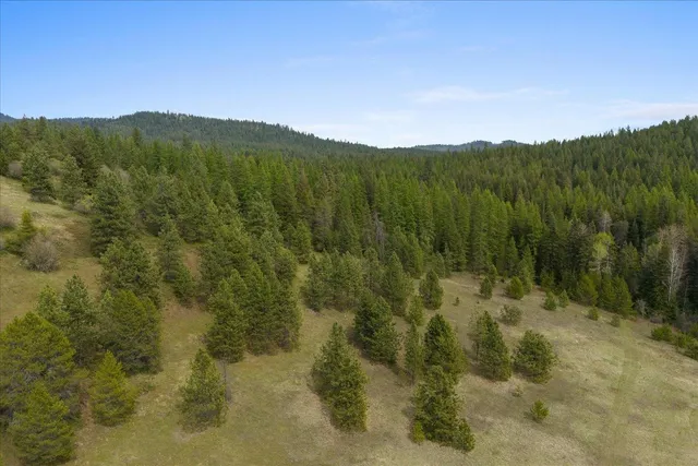 $385,000 | 44-xx Whittier Road, Clayton, WA 99110