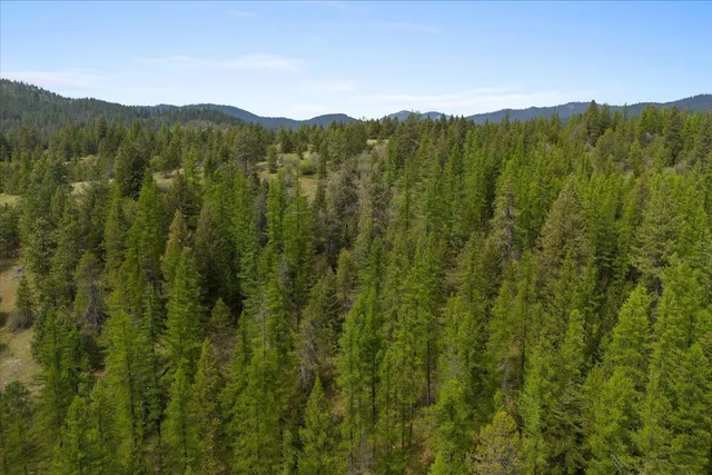 $385,000 | 44-xx Whittier Road, Clayton, WA 99110