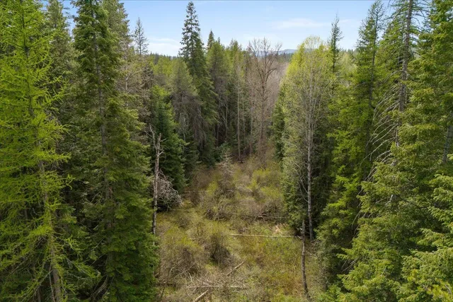 $385,000 | 44-xx Whittier Road, Clayton, WA 99110