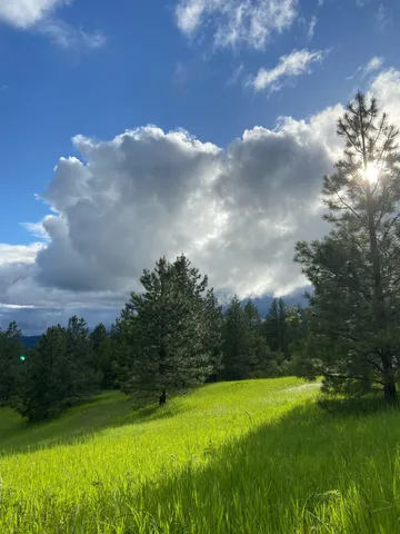 $385,000 | 44-xx Whittier Road, Clayton, WA 99110