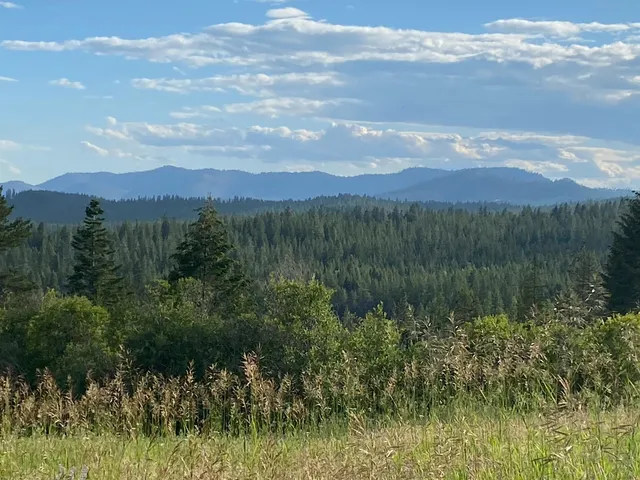 $385,000 | 44-xx Whittier Road, Clayton, WA 99110