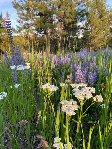 $385,000 | 44-xx Whittier Road, Clayton, WA 99110