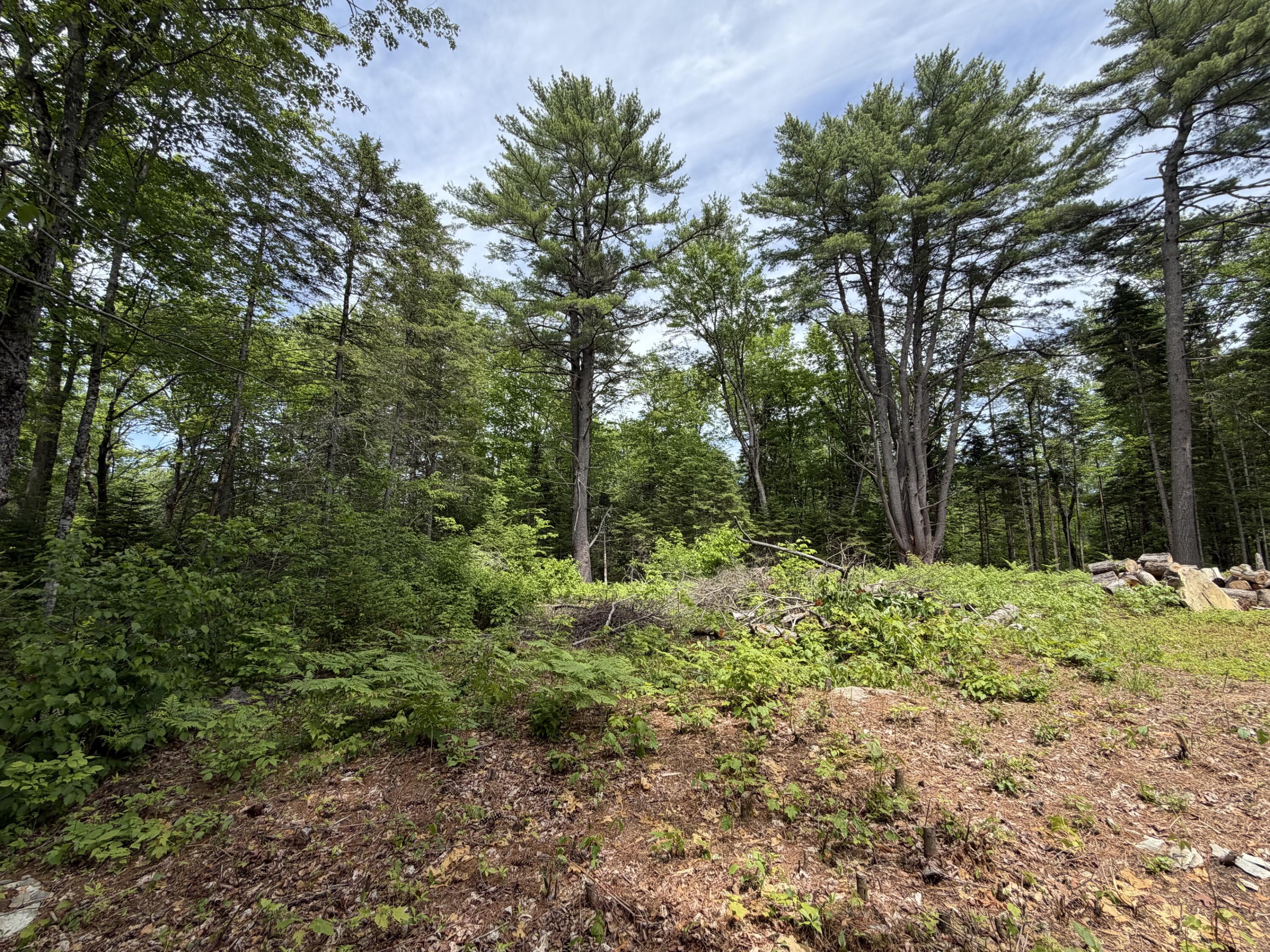 194 Meadow Road Hudson, ME 04449 - Photo 13 of 21 13