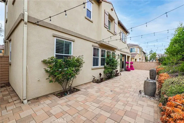 a potted plants sitting in front of a house