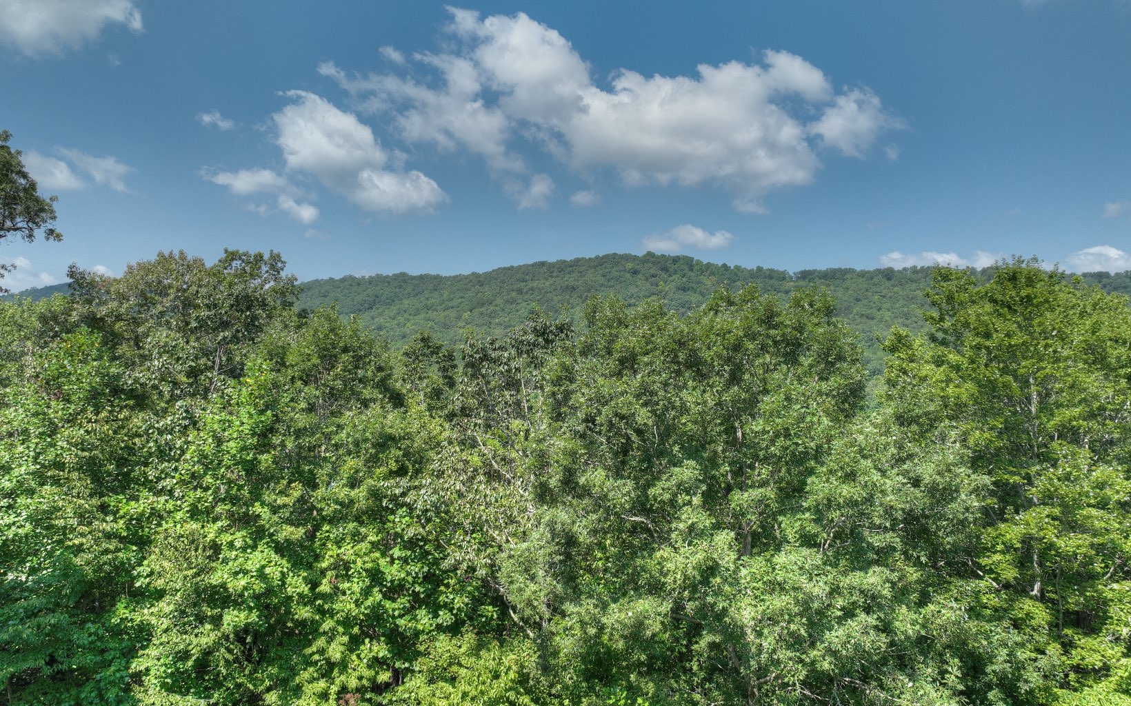 308 Deer Crest Heights Blue Ridge, GA 30513 - Photo 16 of 52 Additional View