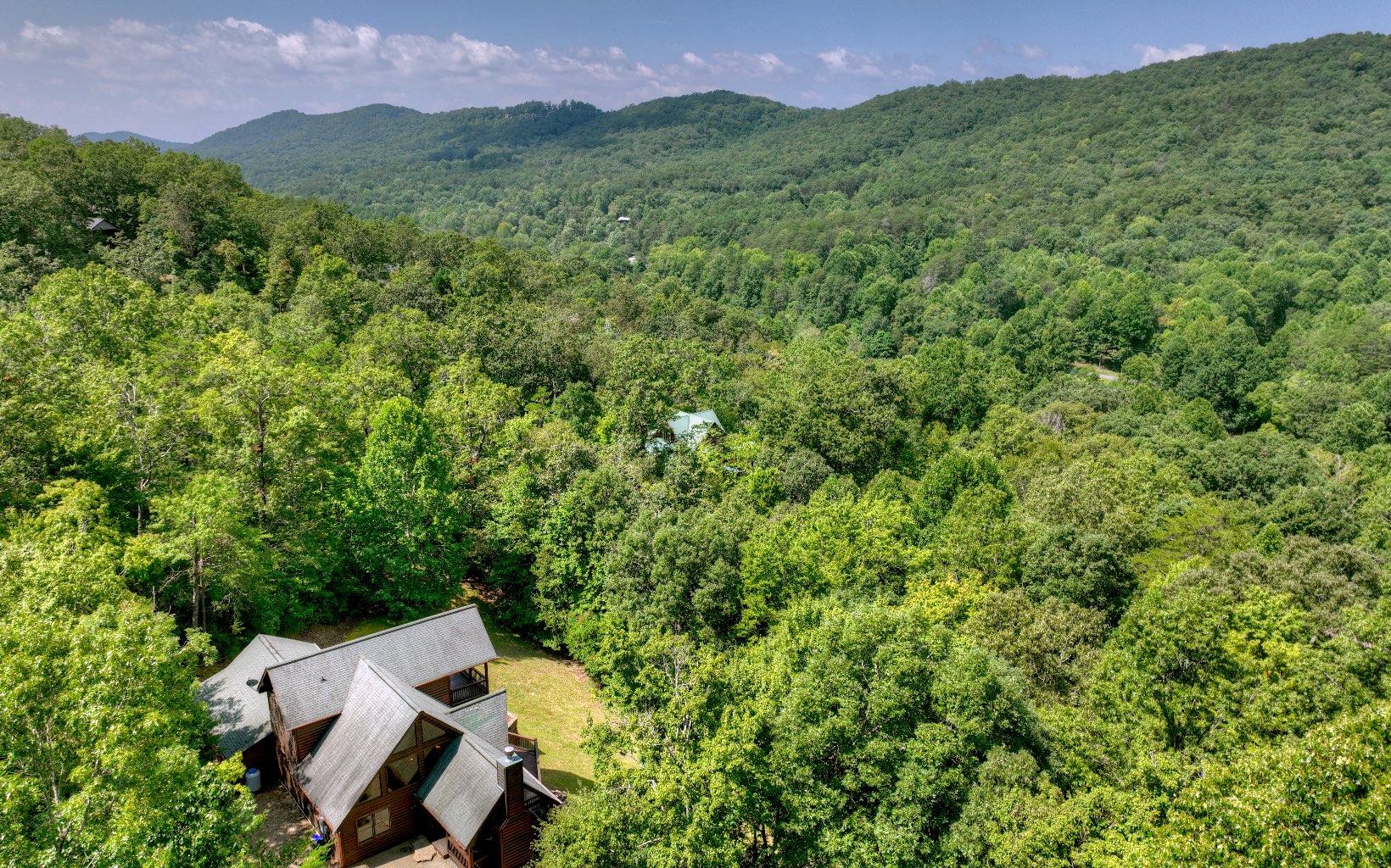 308 Deer Crest Heights Blue Ridge, GA 30513 - Photo 2 of 52 Additional View