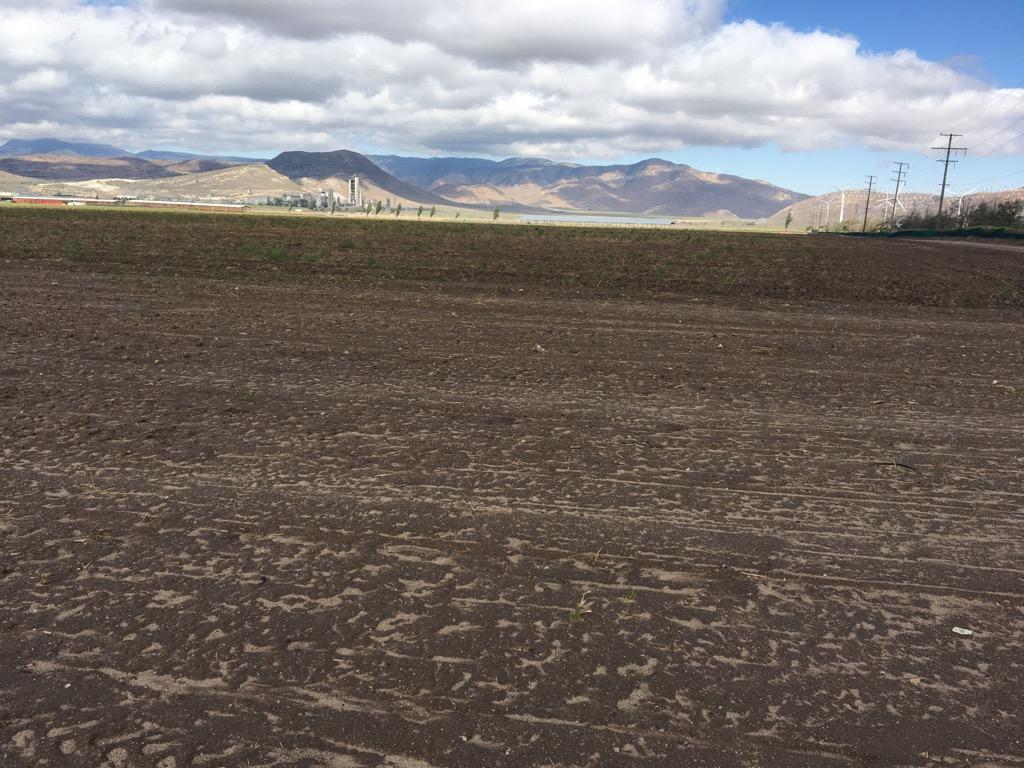 20028 Tehachapi Willow Springs Road Tehachapi, CA 93561 - Photo 11 of 24 a view of an ocean