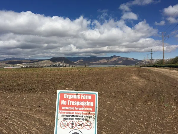 a view of outside area with ocean view