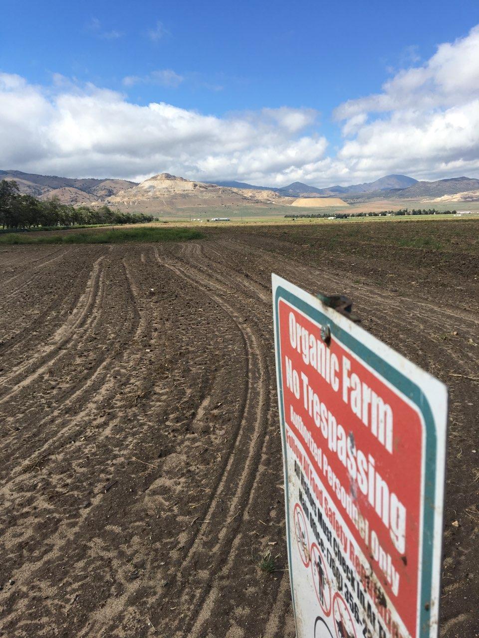 20028 Tehachapi Willow Springs Road Tehachapi, CA 93561 - Photo 13 of 24 a view of outside area with ocean view