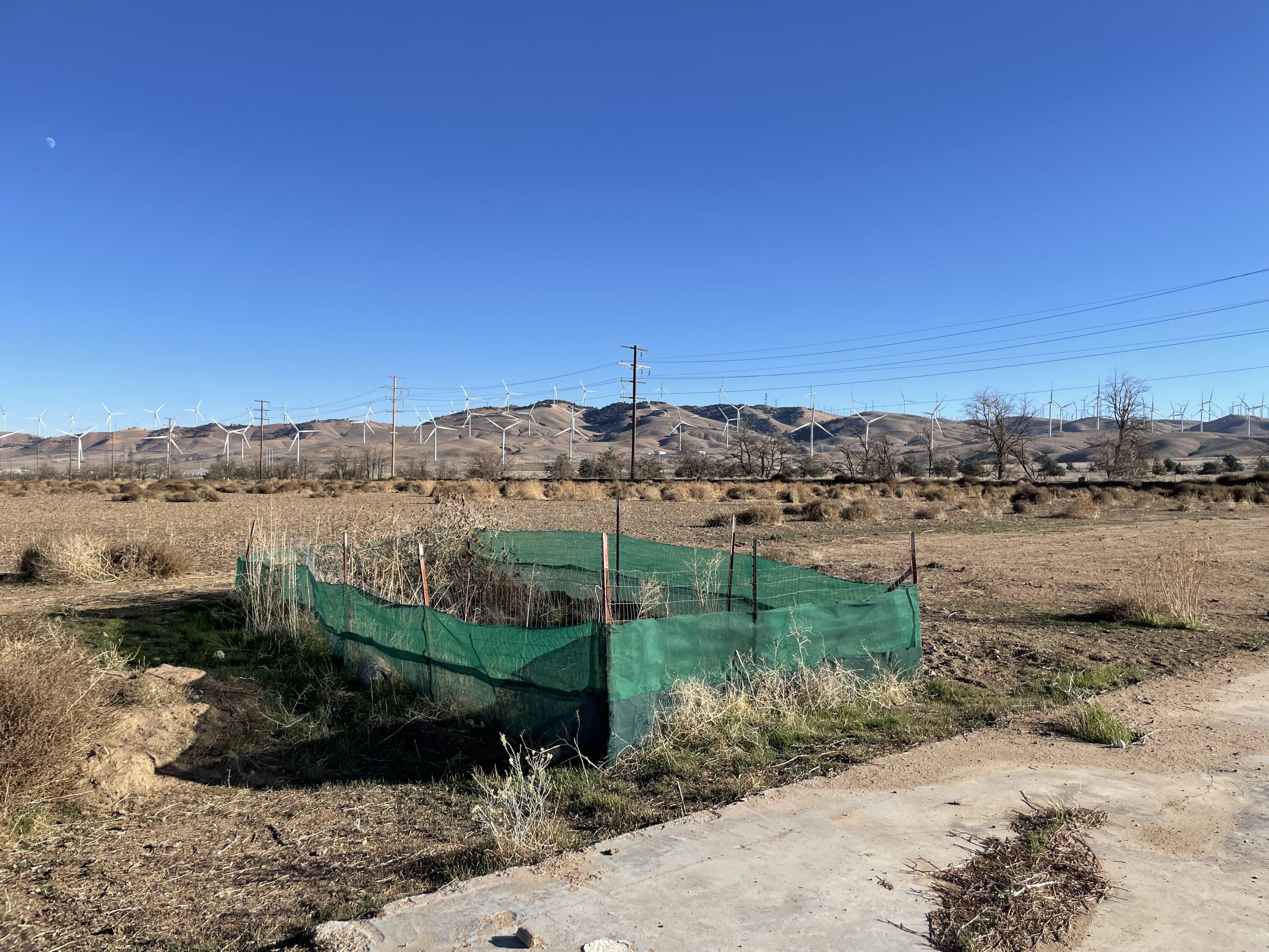 20028 Tehachapi Willow Springs Road Tehachapi, CA 93561 - Photo 19 of 24 a view of a lake with a yard