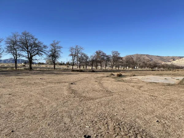 a view of dirt field with trees