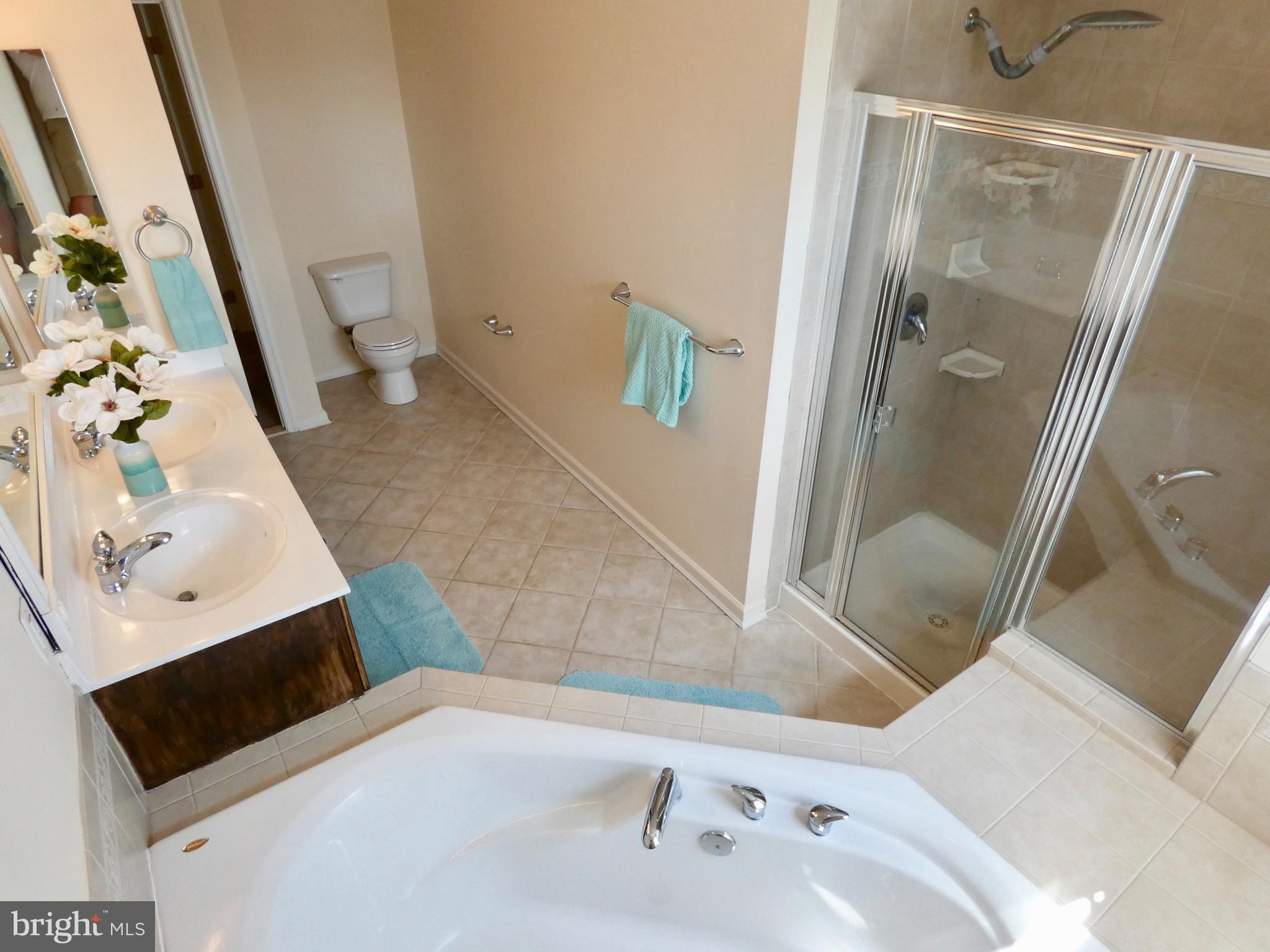 15 Robins Court Ridgely, MD 21660 - Photo 10 of 30 Bedroom (Master)