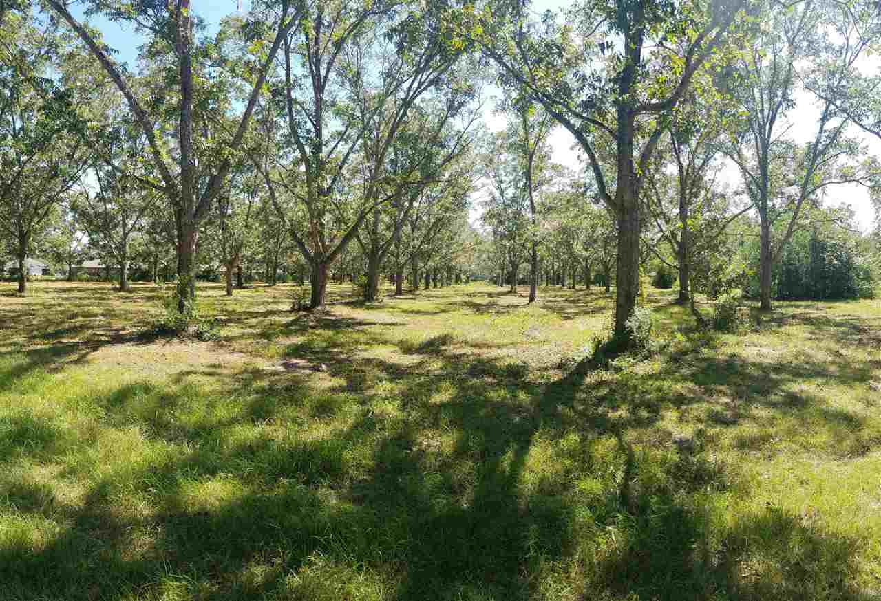 0 West Peachtree Avenue Foley, AL 36535 - Photo 1 of 9