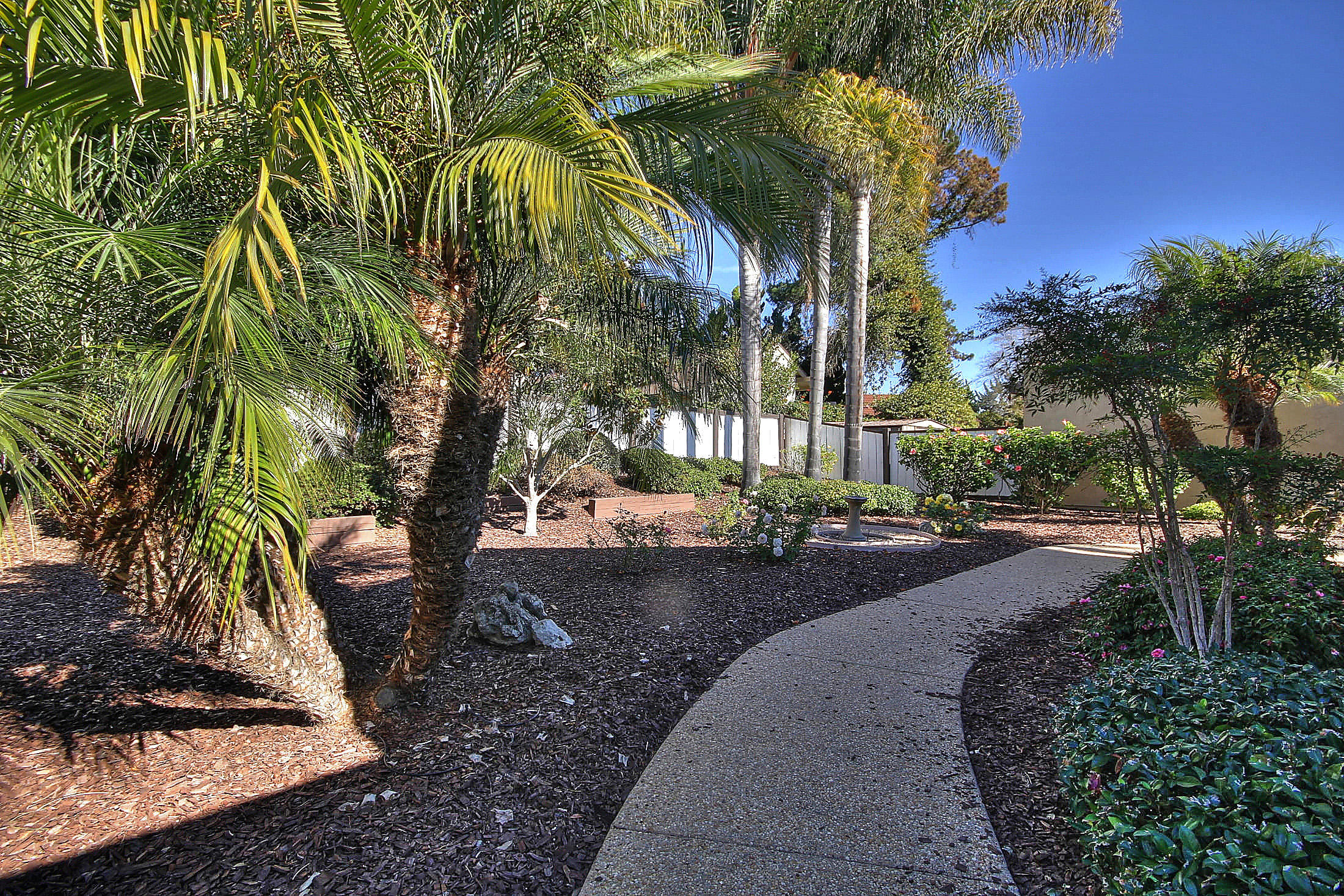 7148 Armstrong Road Goleta, CA 93117 - Photo 8 of 22 Back Yard