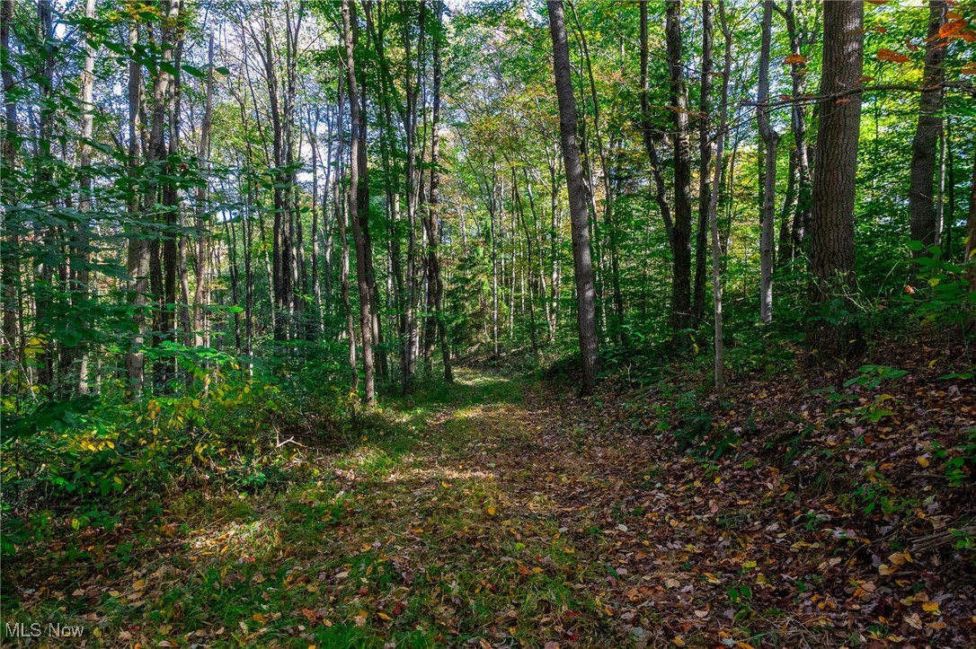 Southwest Johnson Hill Road Newcomerstown, OH 43832 - Photo 23 of 46 View of wooded area
