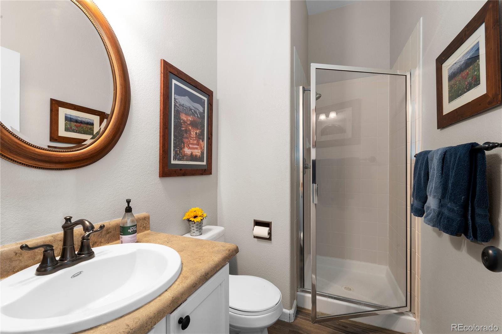 10179 South Cherryhurst Lane Highlands Ranch, CO 80126 - Photo 7 of 37