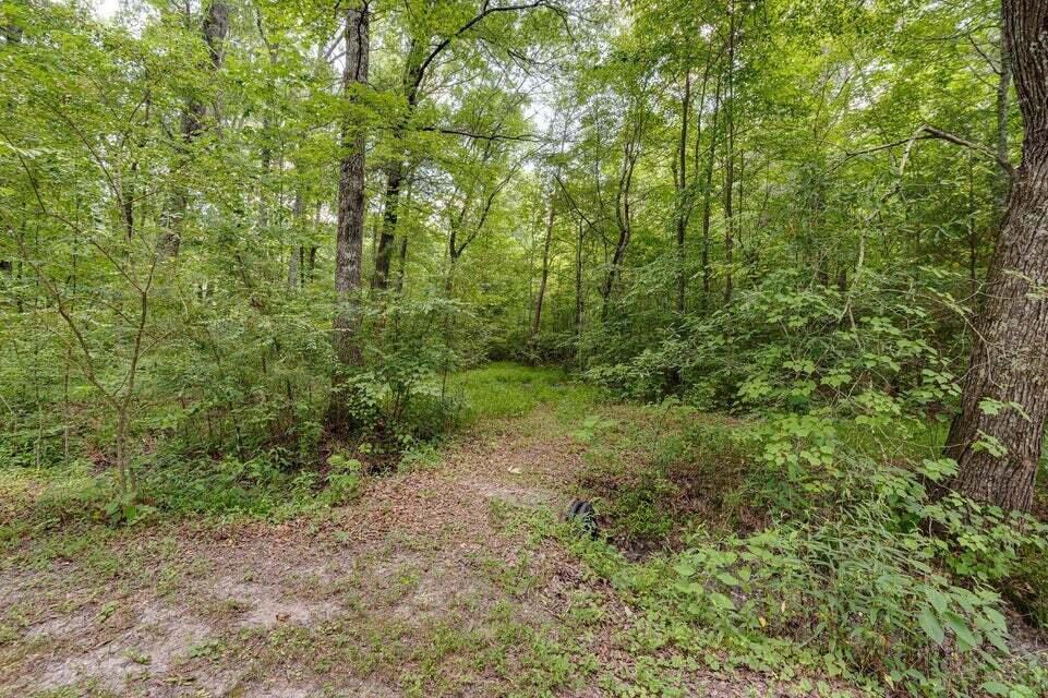 101 Homestead Street Northeast Cleveland, TN 37323 - Photo 27 of 32 20251210124249933273000000-o