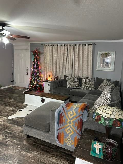 390 County Road 421 Ripley, MS 38663 - Photo 10 of 16 Gallery Image 10