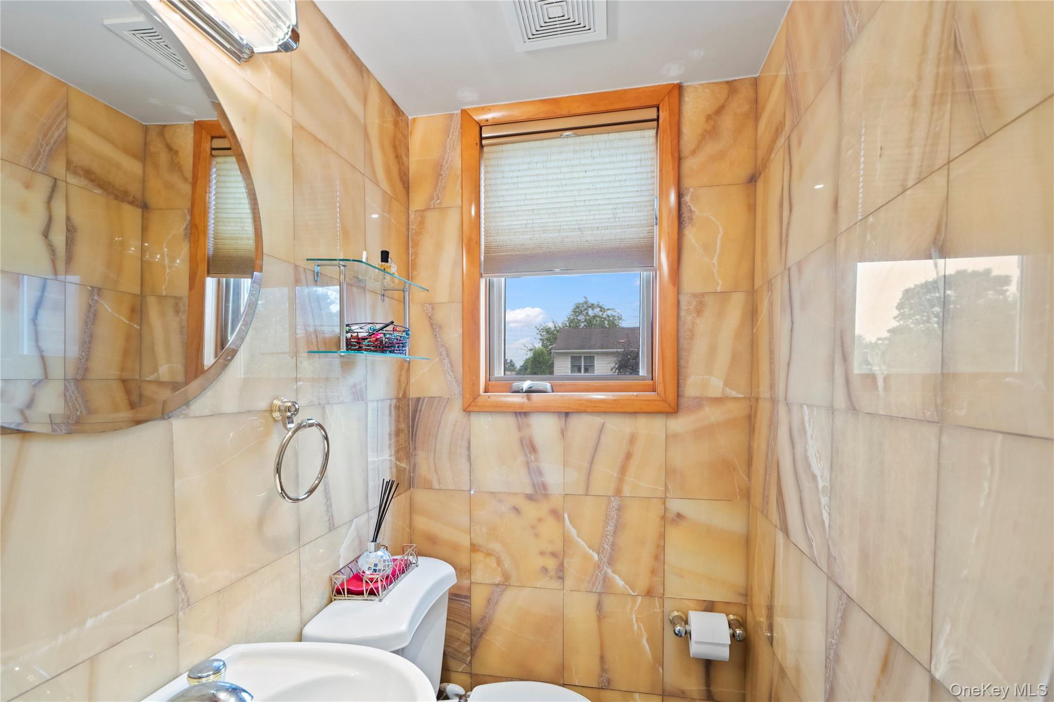 33 Shelter Hill Road Plainview, NY 11803 - Photo 14 of 34