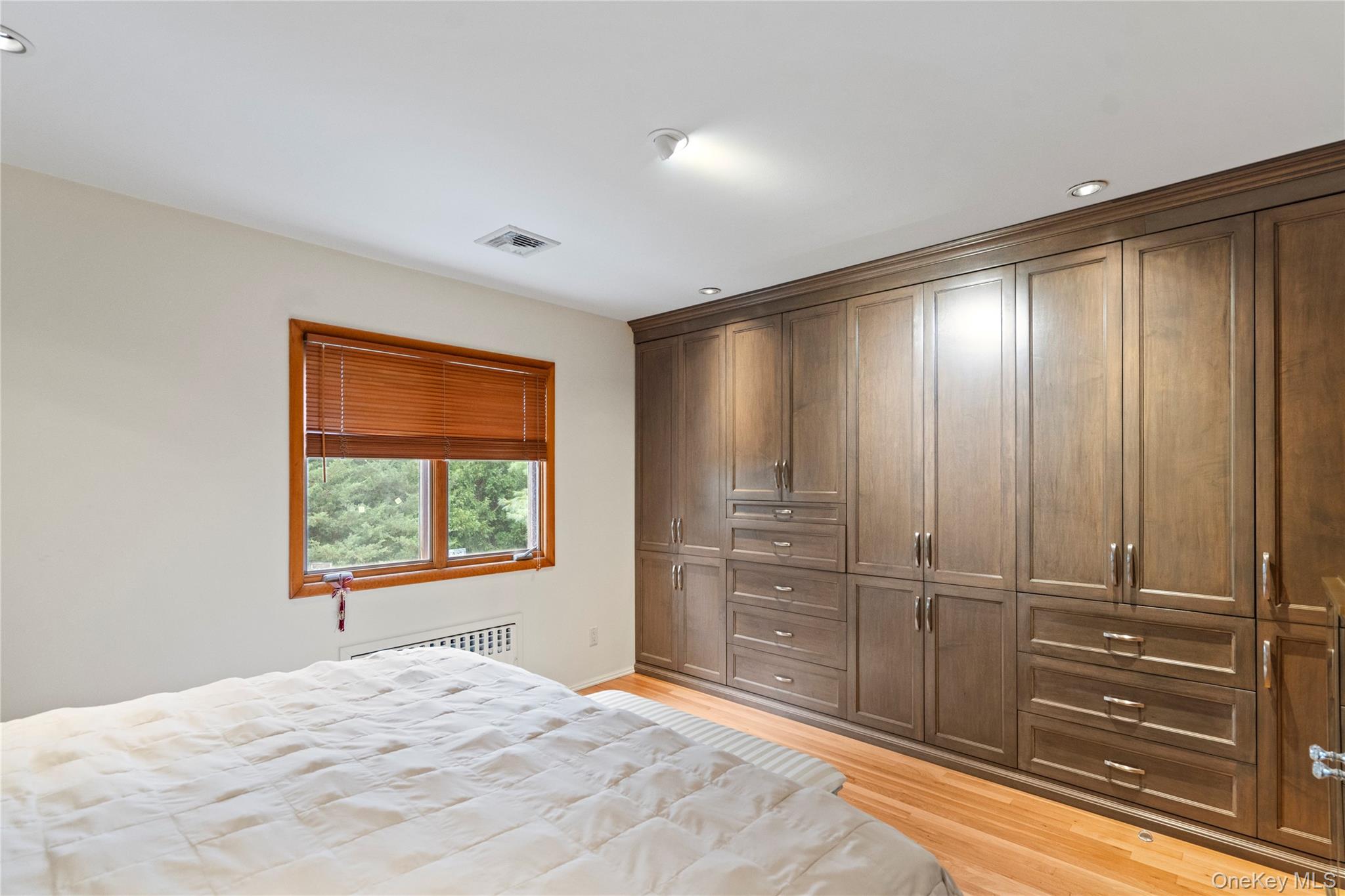 33 Shelter Hill Road Plainview, NY 11803 - Photo 16 of 34 Bedroom featuring light wood finished floors, Custom closet, recessed lighting