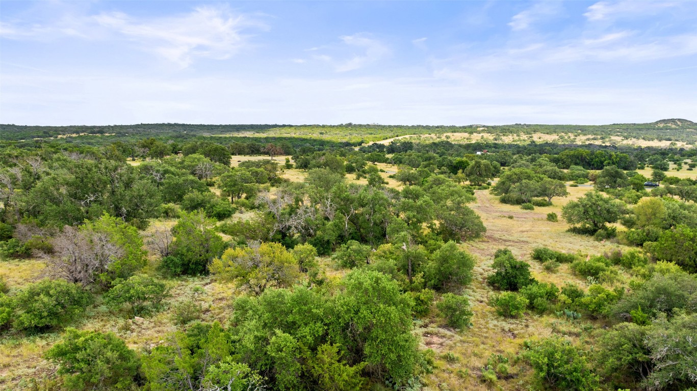 Lot 37 Vista Rdg Drive Round Mountain, TX 78663 - Photo 12 of 30 a view of a green field with lots of bushes