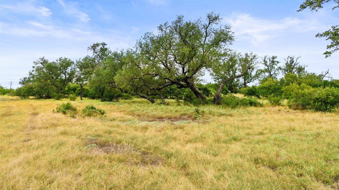 Lot 37 Vista Rdg Drive Round Mountain, TX 78663 - Photo 21 of 30 a backyard of a house with lots of green space