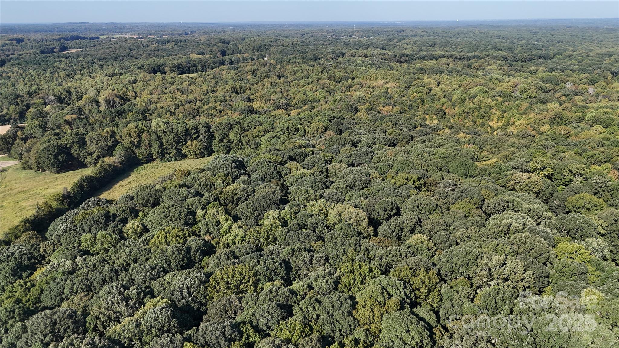 3004 Potter Road Waxhaw, NC 28173 - Photo 6 of 15 an aerial view of forest