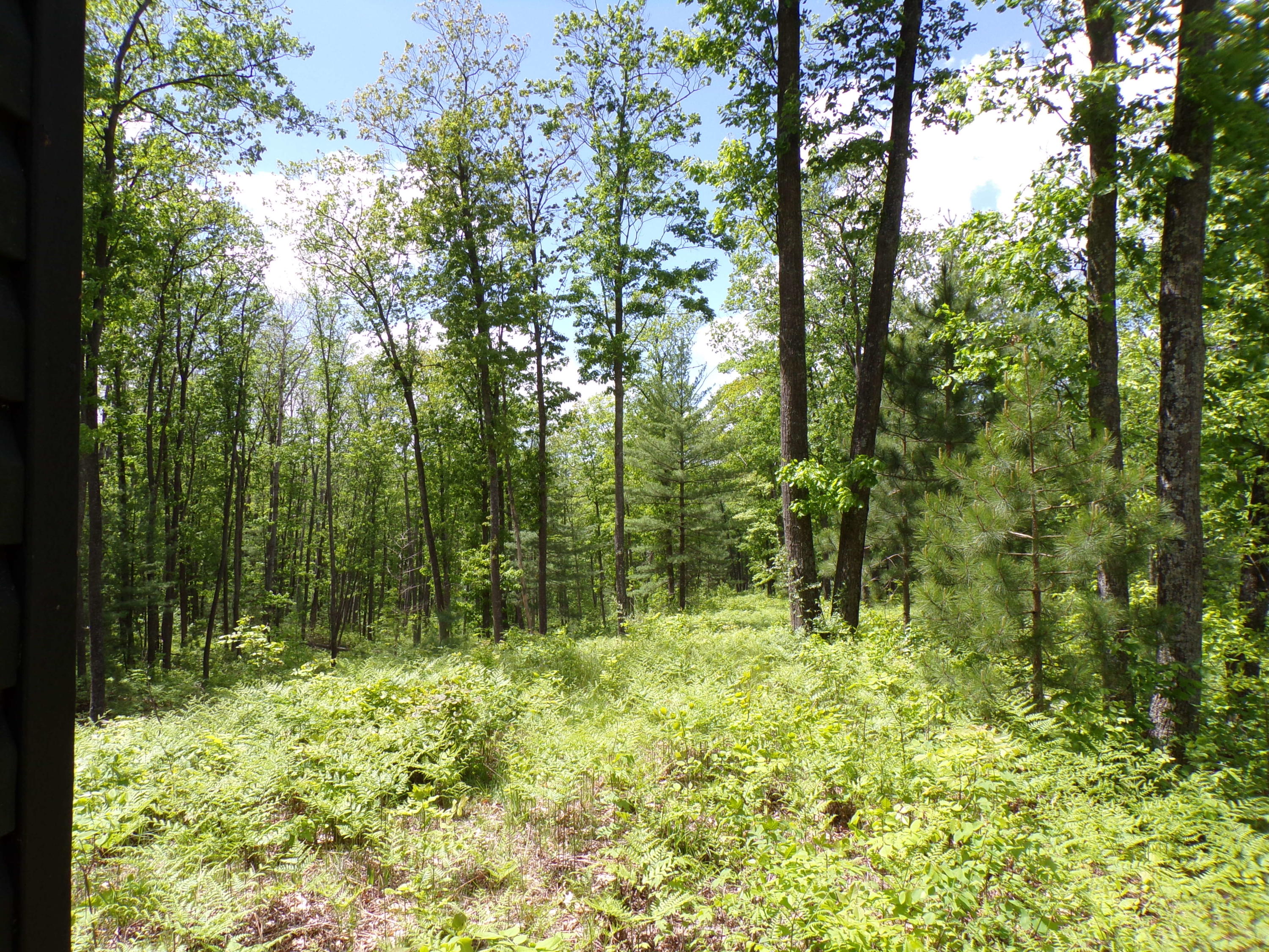 4198 East Miller Road Fairview, MI 48621 - Photo 55 of 64 Gallery Image 55