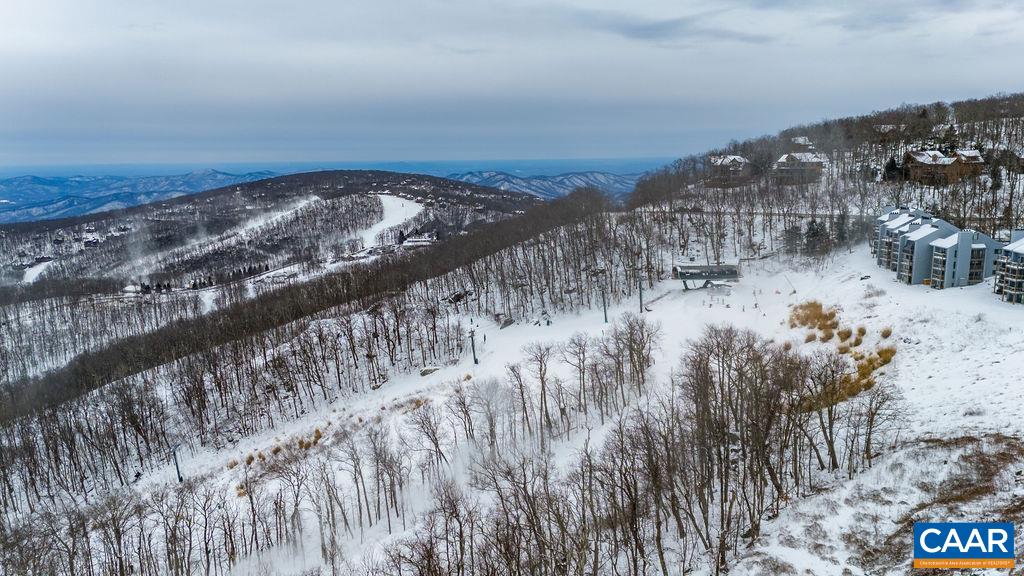1478 Ledges Condos Roseland, VA 22967 - Photo 23 of 50