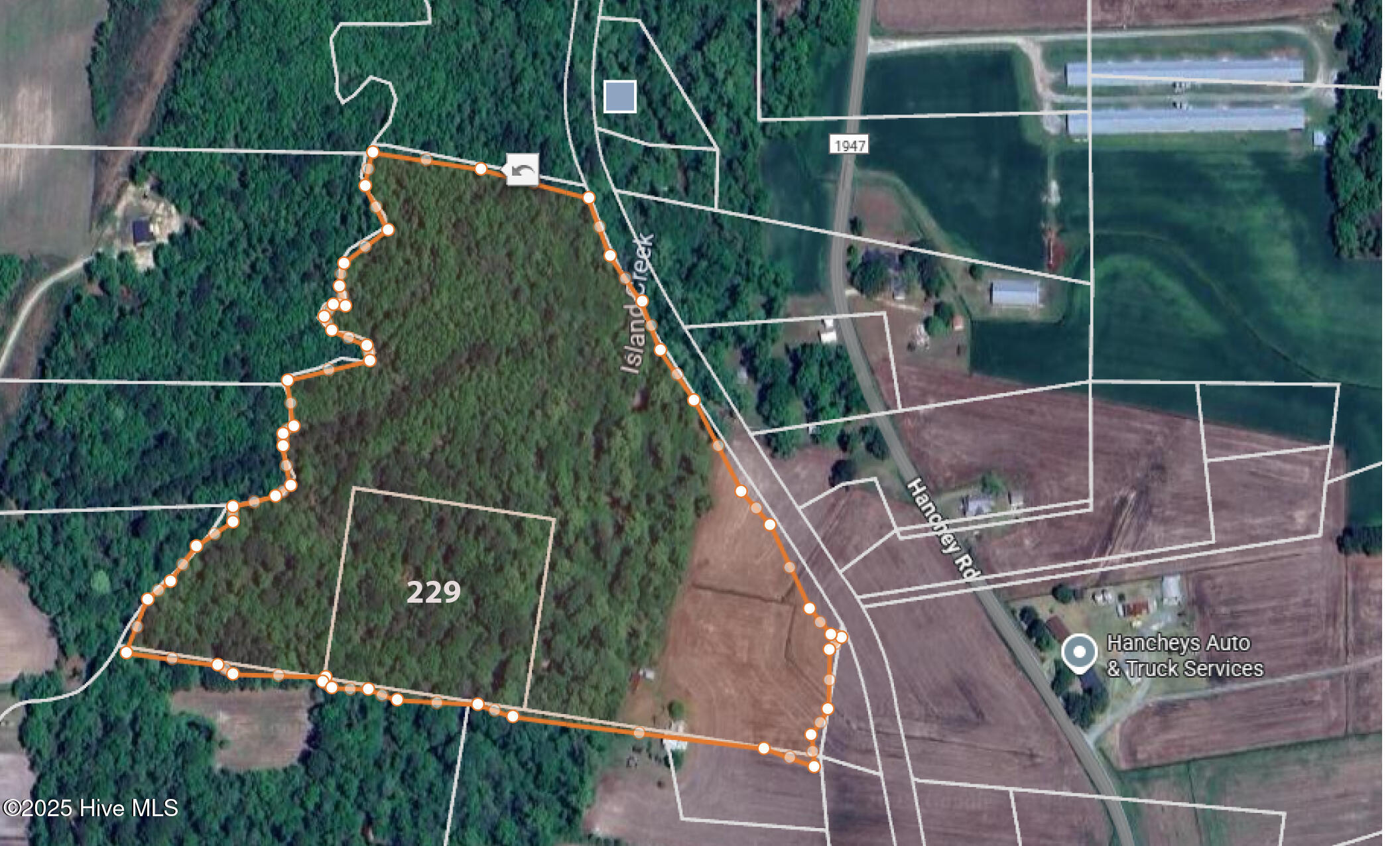 229 Hanchey Road Wallace, NC 28466 - Photo 4 of 10 229 Hanchey Rd Map_Location - Realtors P