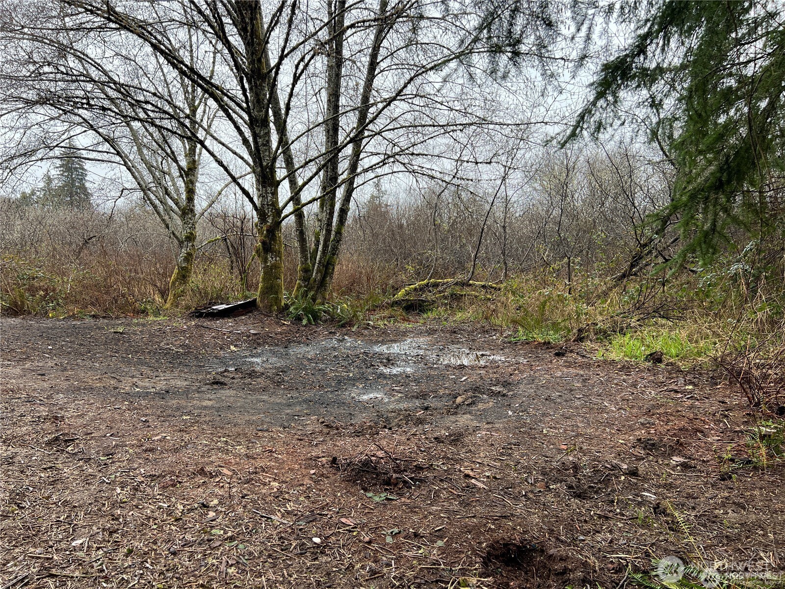 X Willapa Road Raymond, WA 98577 - Photo 7 of 8