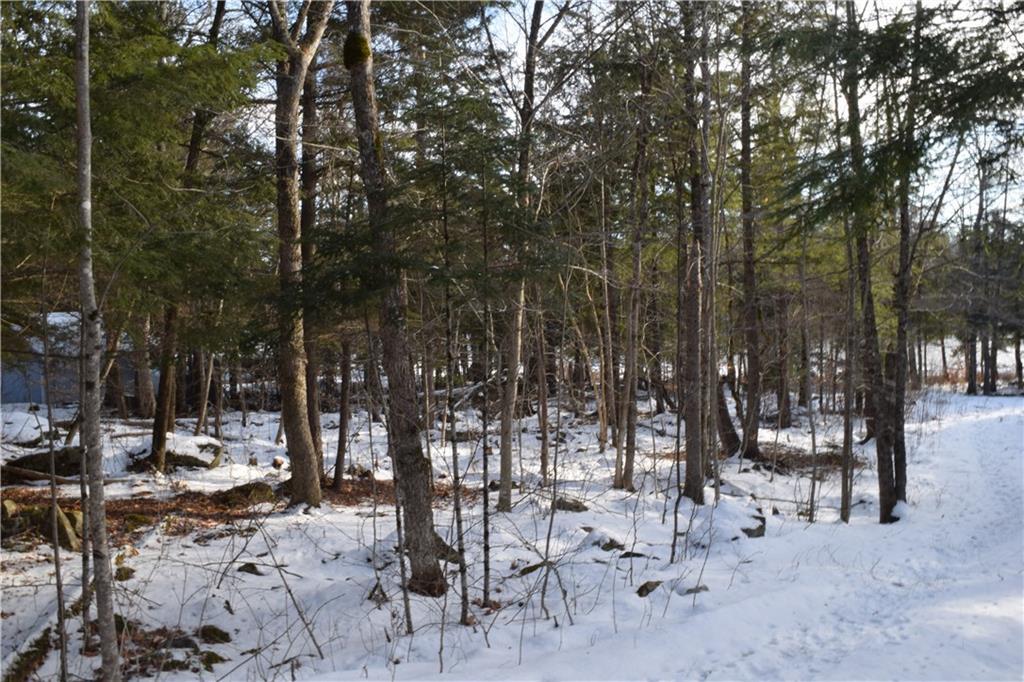 52 Peterson Road Dover-Foxcroft, ME 04426 - Photo 16 of 24 Maine Lakefront Cabin for Sale with...