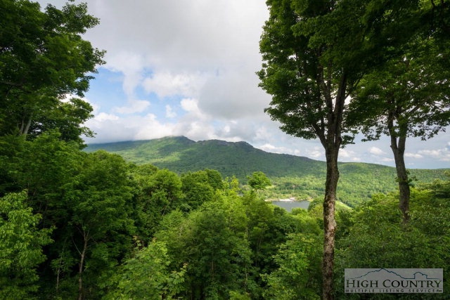 209 Ridge Drive, Unit 2 Linville, NC 28646 - Photo 3 of 11 Gallery Image 3