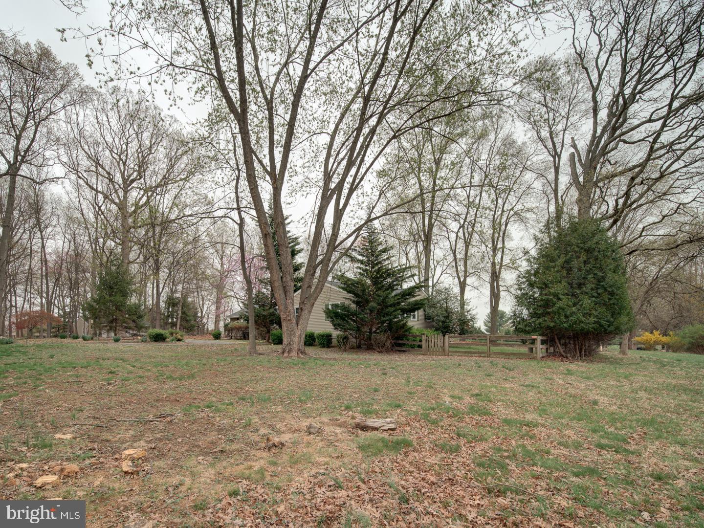 17520 Tranquility Road Purcellville, VA 20132 - Photo 3 of 70