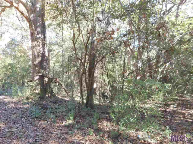 $170,000 | 7430 C Lane Road, Ethel, LA 70730