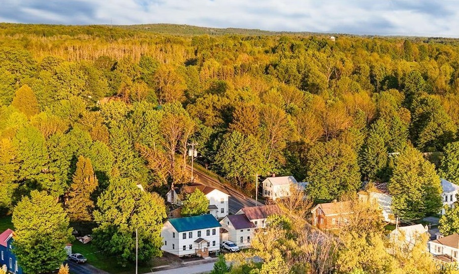 9614 Maple Avenue Remsen, NY 13438 - Photo 8 of 37