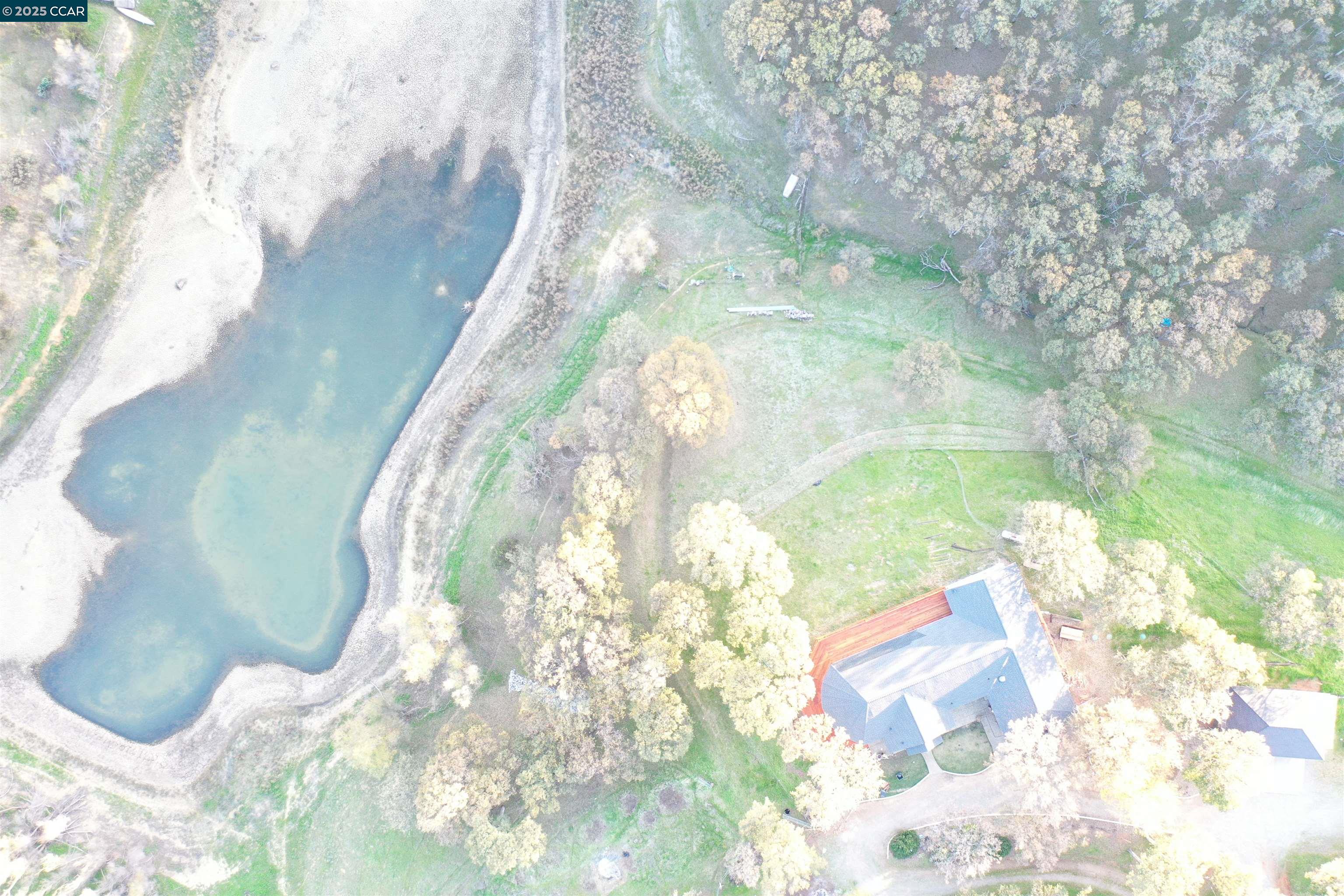 14630 St Croy Road Red Bluff, CA 96080 - Photo 28 of 29 a close up of a flower in a water