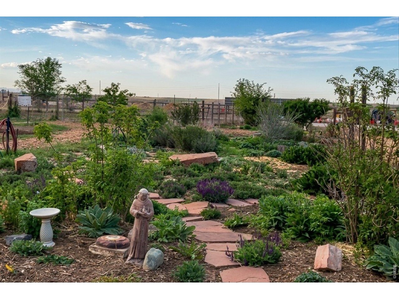 9773 Phillips Road Lafayette, CO 80026 - Photo 37 of 46 a view of a garden with lawn chairs