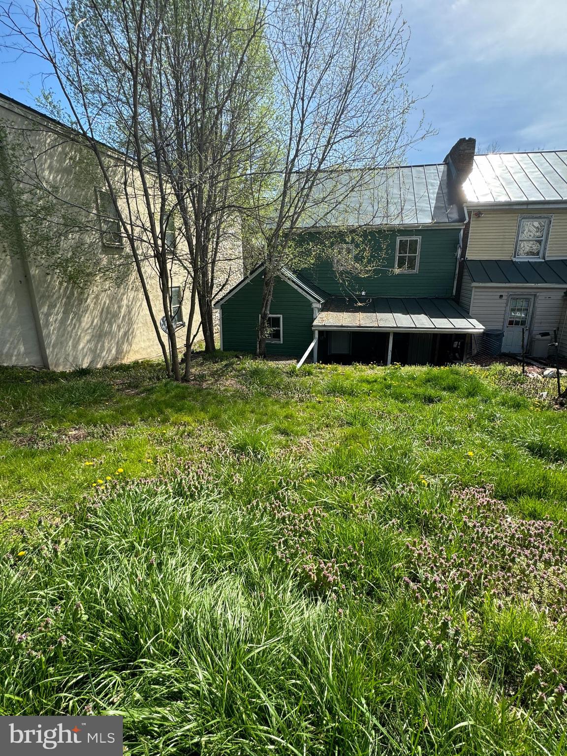 413 South Braddock Street Winchester, VA 22601 - Photo 19 of 20 a view of a backyard with plants