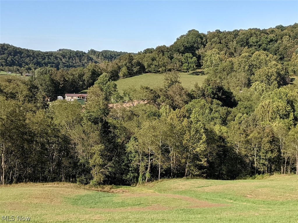 231 Ross Fork Road Alma, WV 26320 - Photo 20 of 21