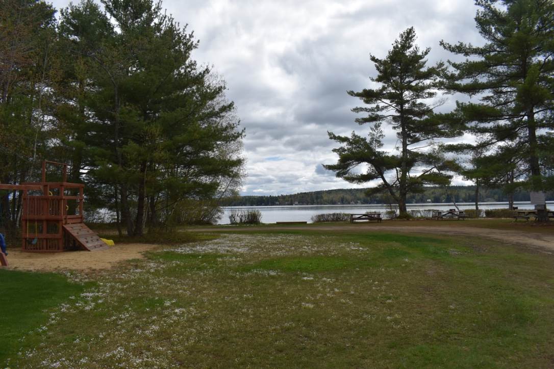 141 Bow Lake Estates Road Strafford, NH 03884 - Photo 27 of 34 Gallery Image 27