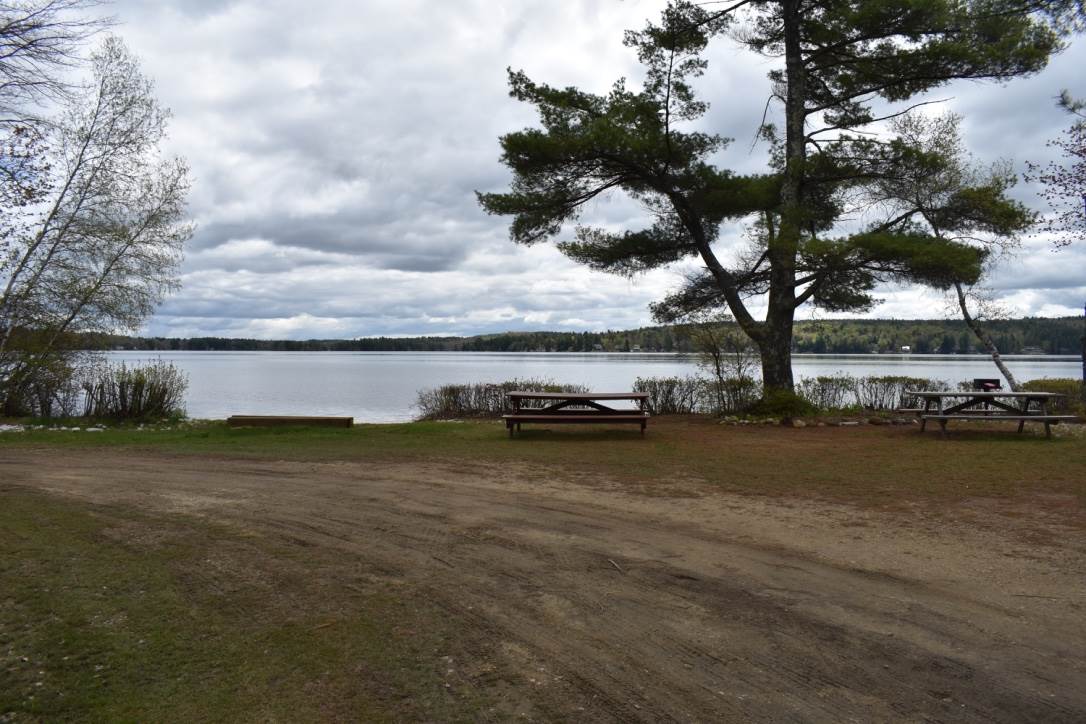141 Bow Lake Estates Road Strafford, NH 03884 - Photo 30 of 34 Gallery Image 30
