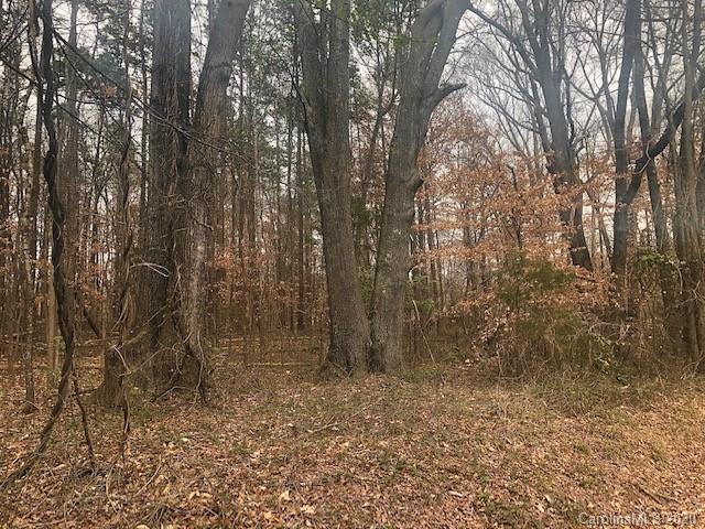 0 Sleepy Hollow Road Fort Mill, SC 29715 - Photo 1 of 5 Gallery Image 1