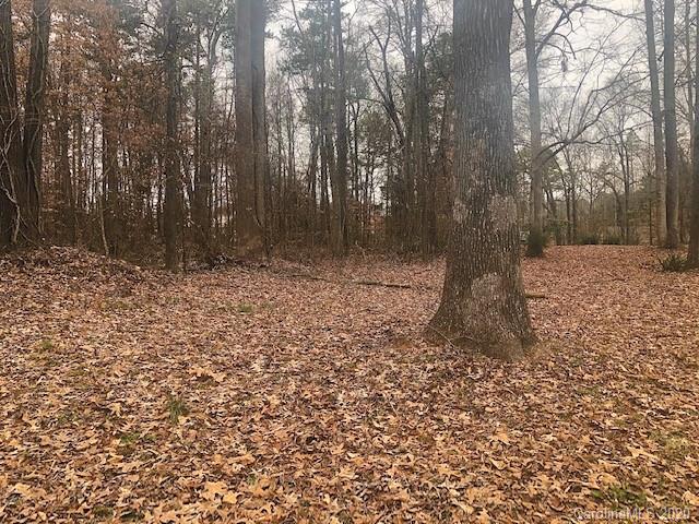 0 Sleepy Hollow Road Fort Mill, SC 29715 - Photo 3 of 5 Gallery Image 3