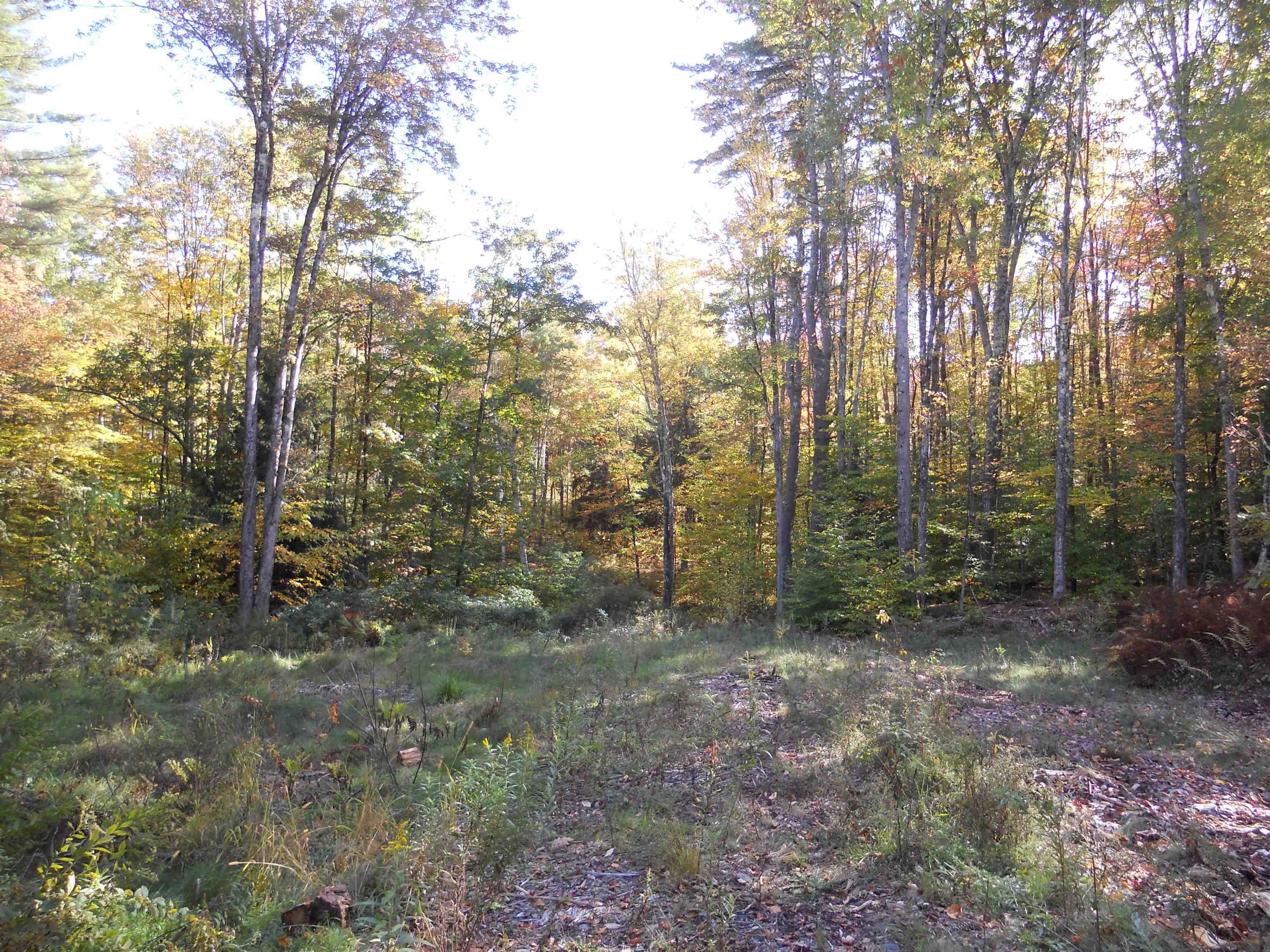 120 Hackett Swamp Road Charlestown, NH 03603 - Photo 13 of 20 Gallery Image 13