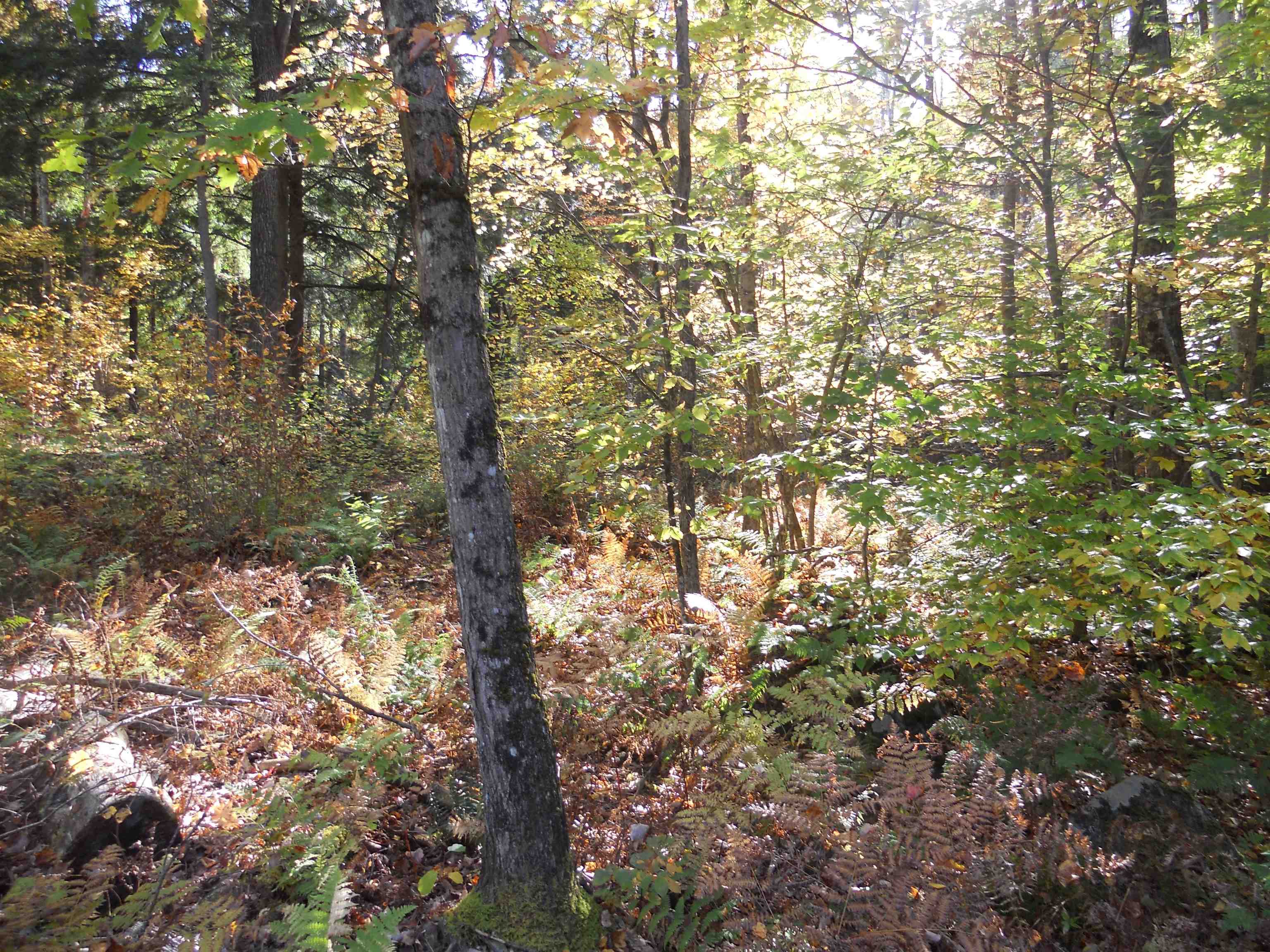 120 Hackett Swamp Road Charlestown, NH 03603 - Photo 5 of 20 Gallery Image 5